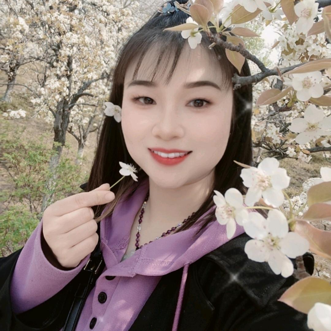 火凤凰旋转小火锅