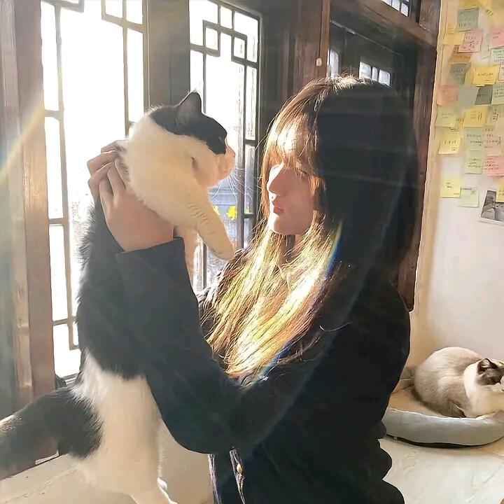 糖.❤️（冲300）