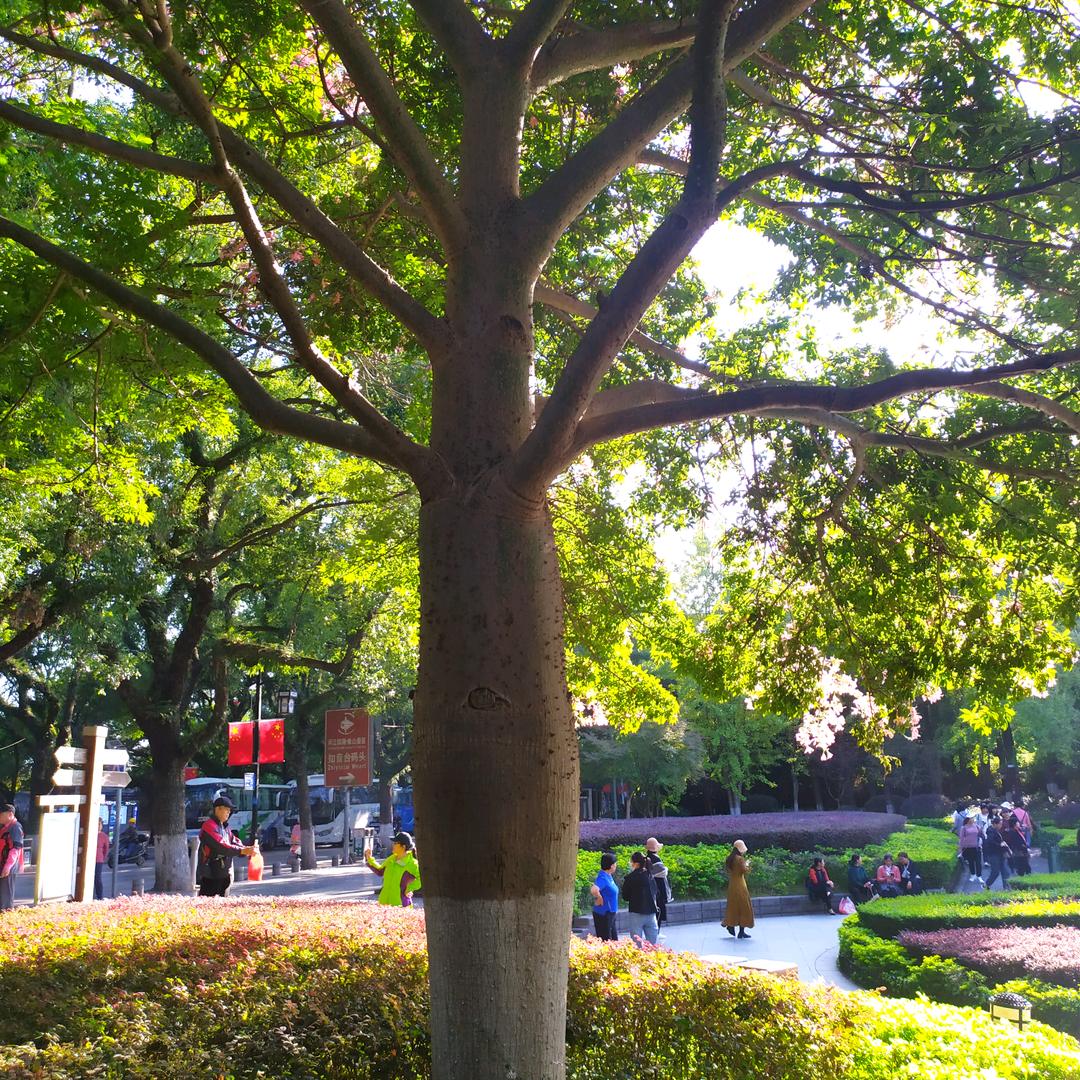 、∴丶∴′:㇏㇏㇏㇏㇏丶、‘