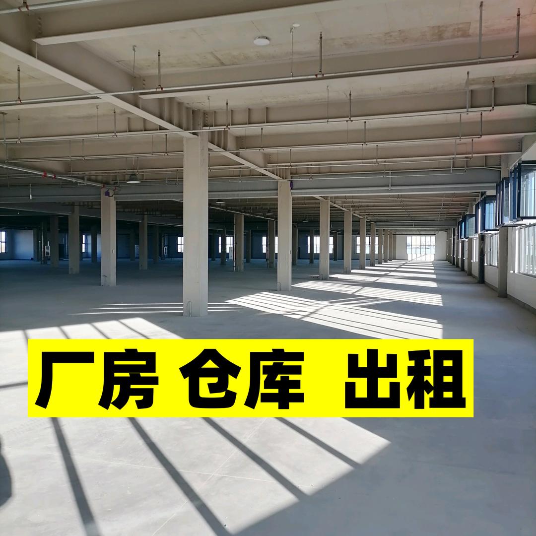 保定鸿硕