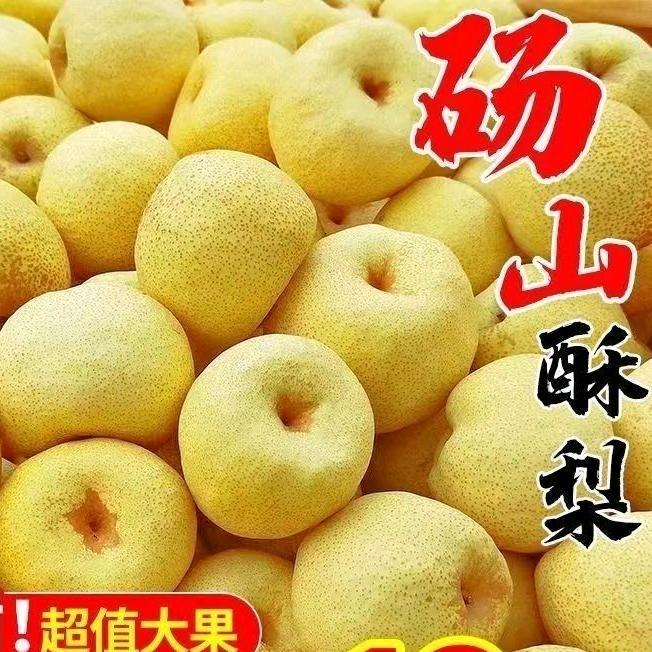 桃梨满天下