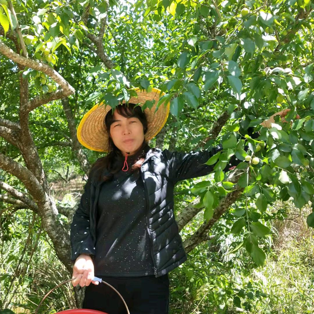 农村人