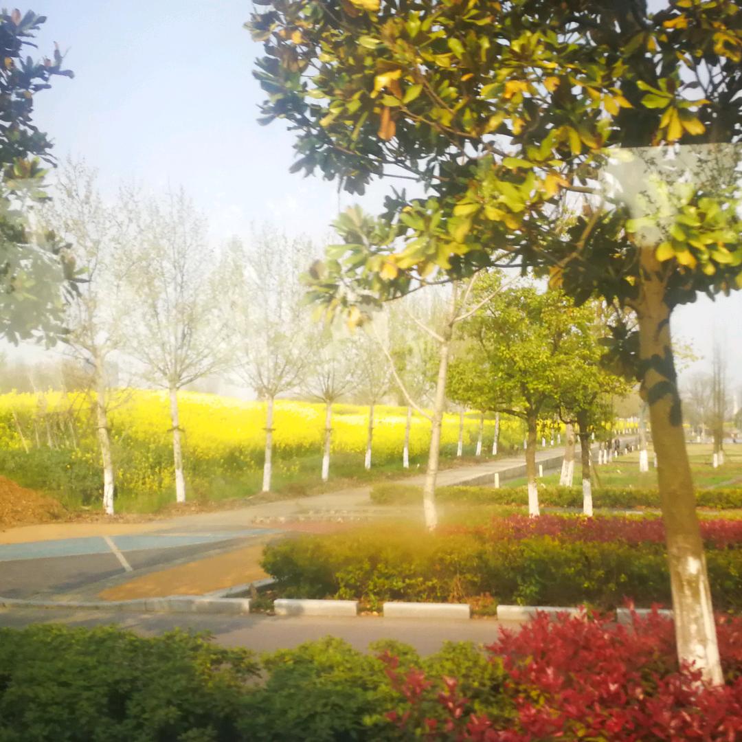 爱听歌的小四子