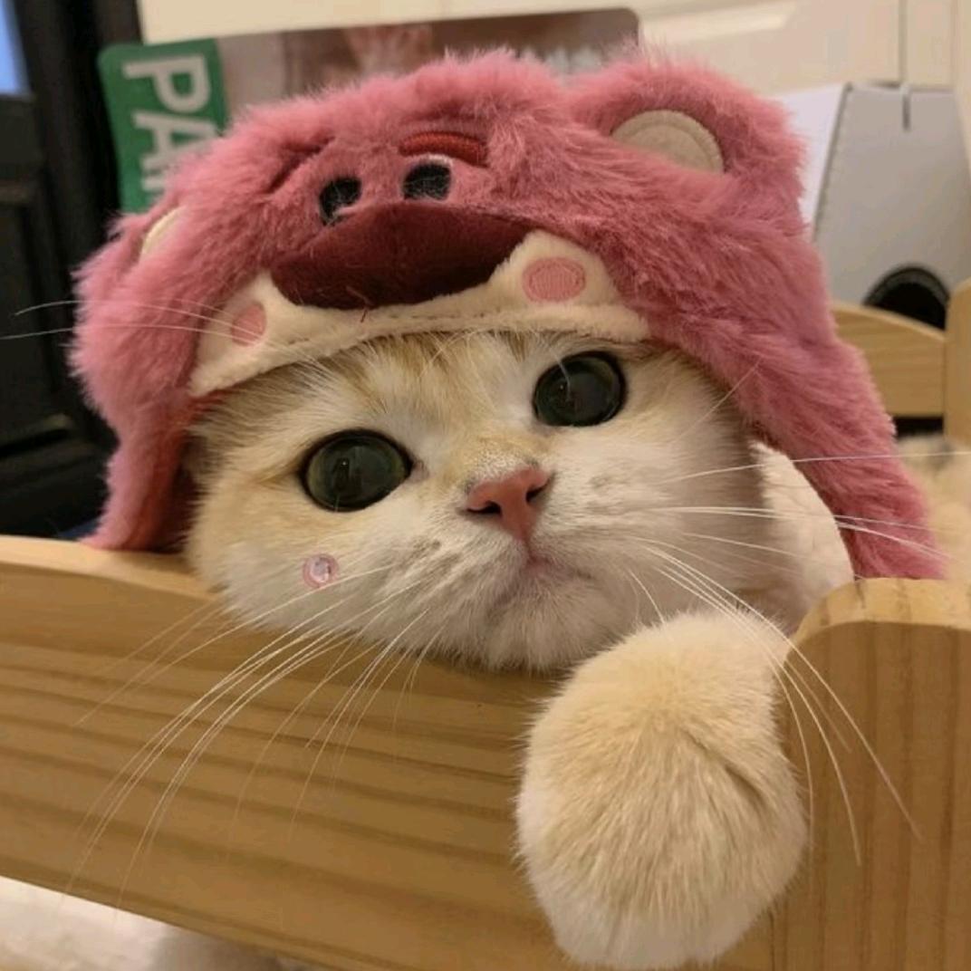 快乐小喵
