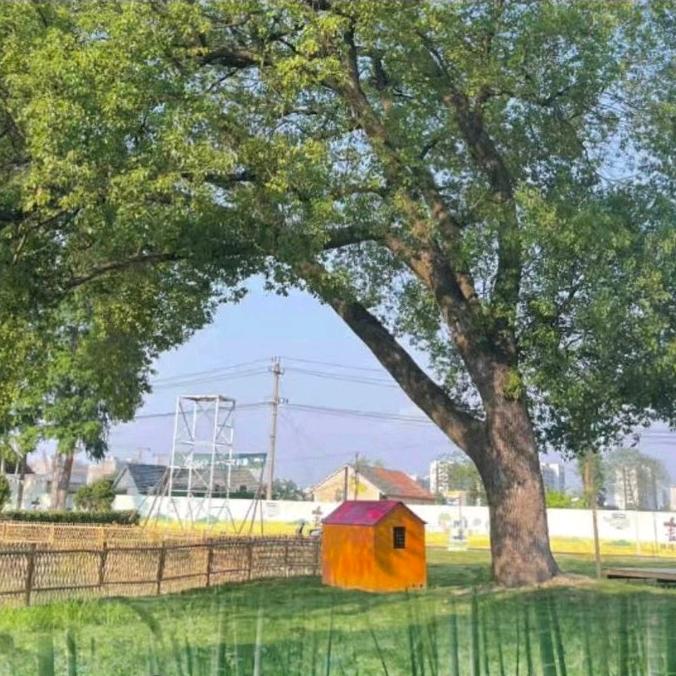 🌾山迟.