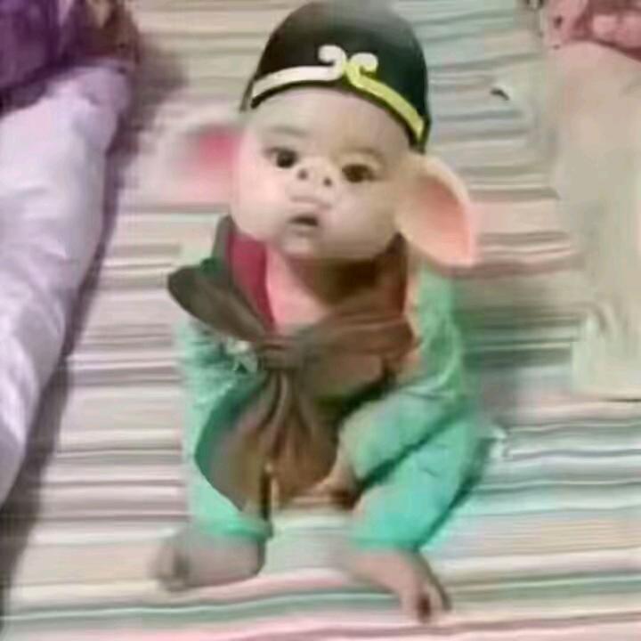 龙哥