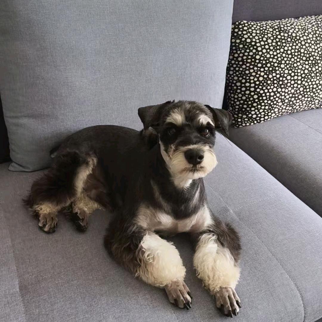 大迷糊🧚‍♀️