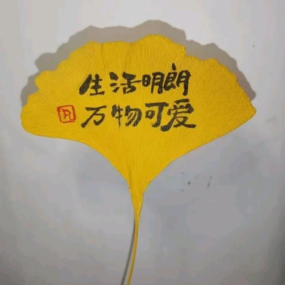 ꧁💞含笑半步癫💞᭄᪲ᩚ꯭ᩚ꧂