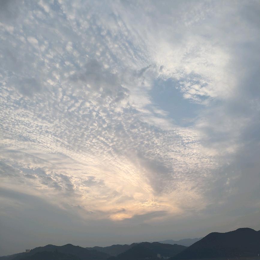 随风逐流