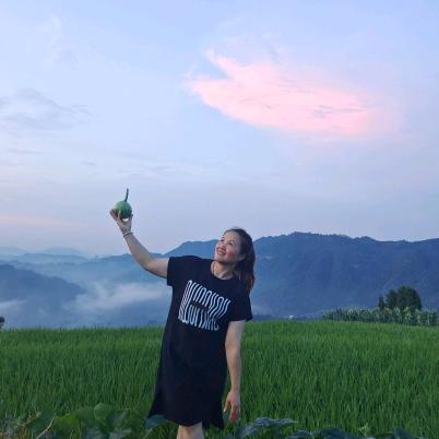 有一种温暖叫阳光