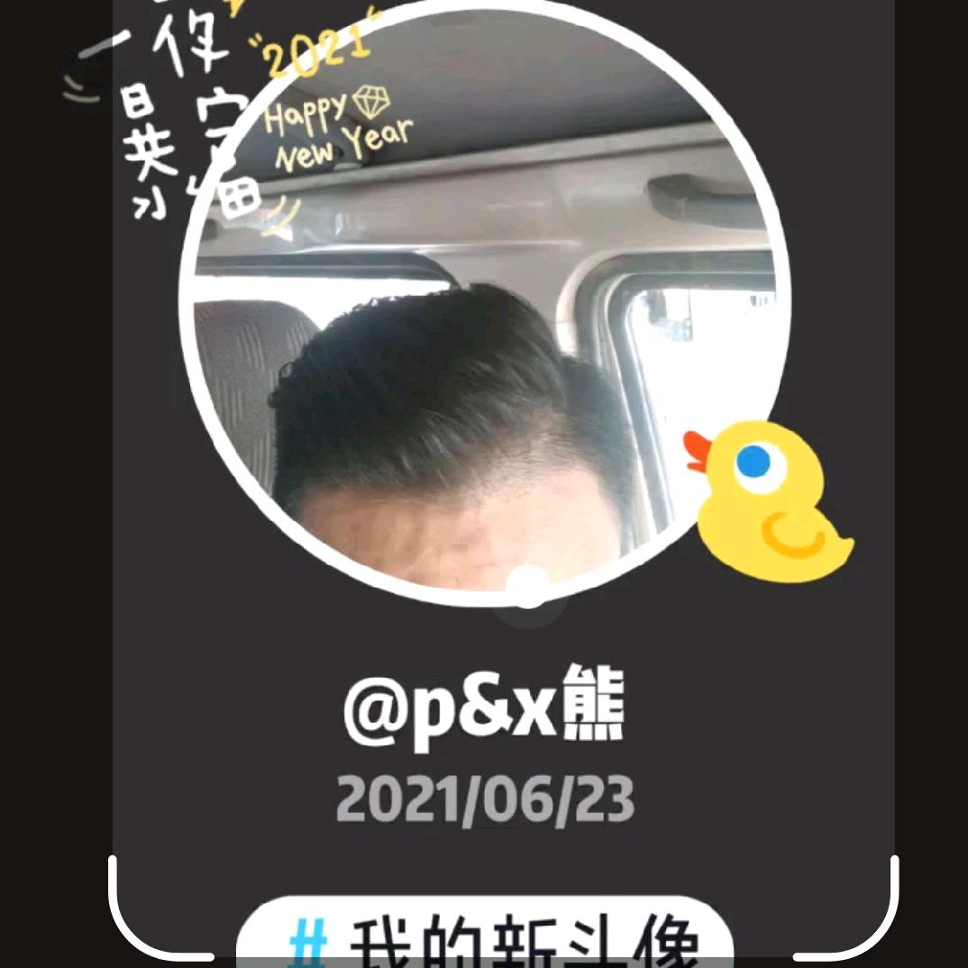 p&x熊