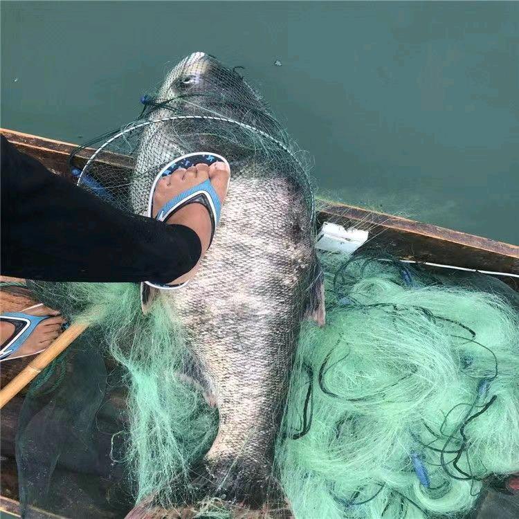 巢湖市海超渔网渔具