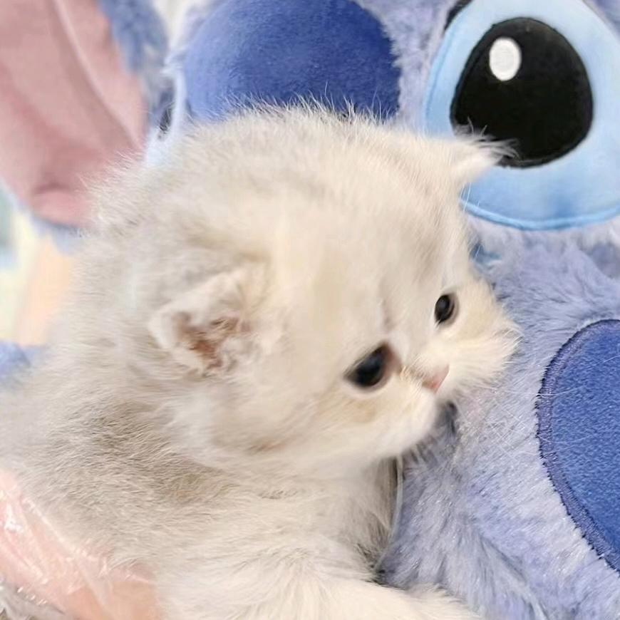 。。。。。
