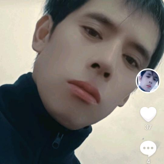 九月的虎《虎哥》