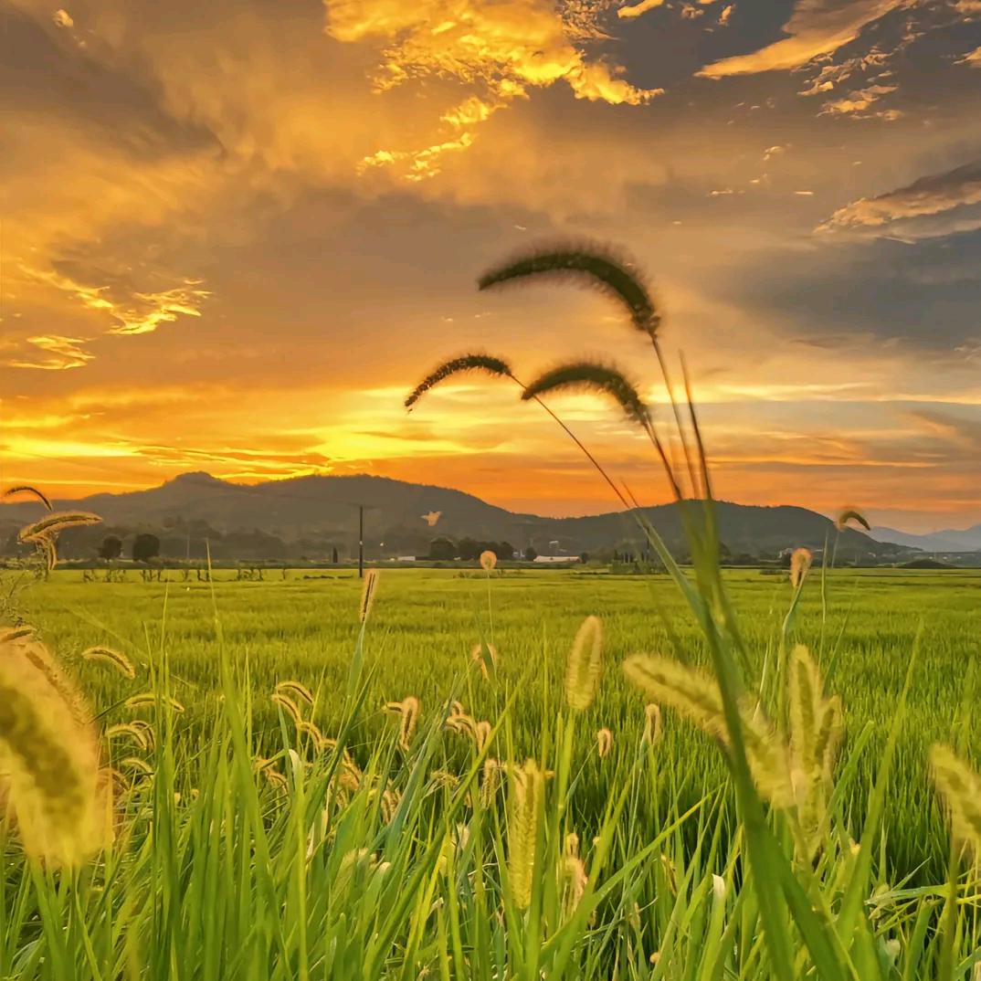 徐州极赞信息科技