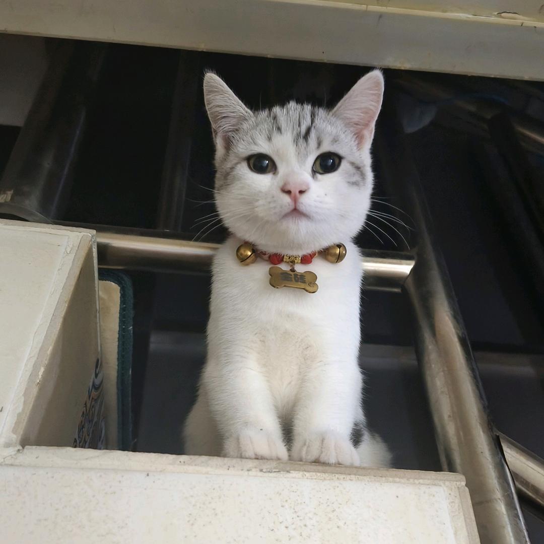 恭喜發财🌈……