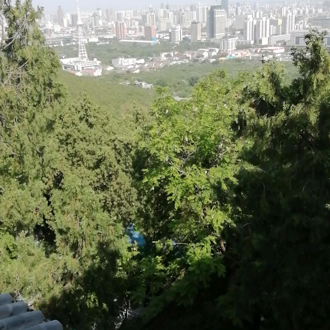 岁月静好