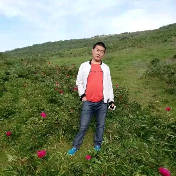 桀骜不驯