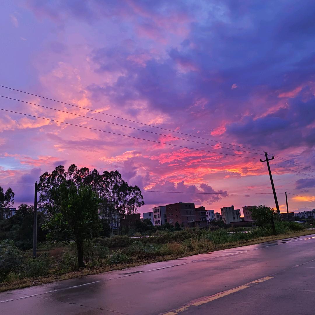 她说（收藏家）