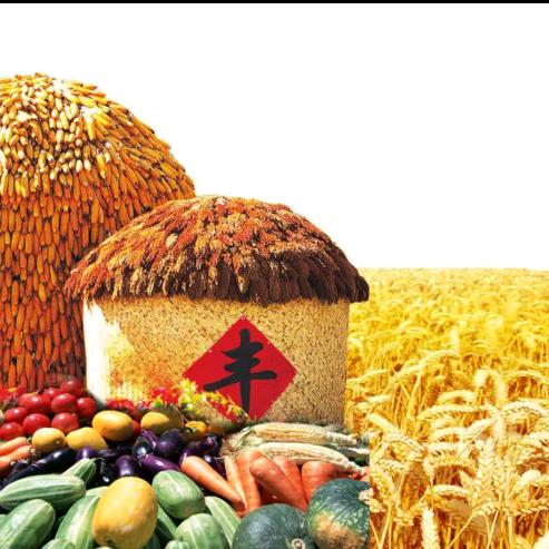 阳光宝贝潮童生活馆