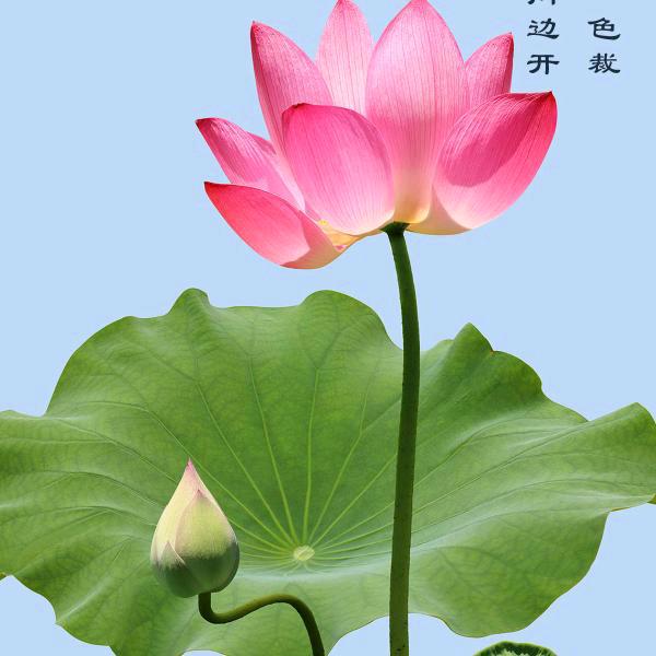久居我心