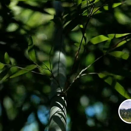 @社会主义接班人