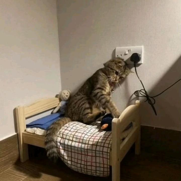 下雨天u^