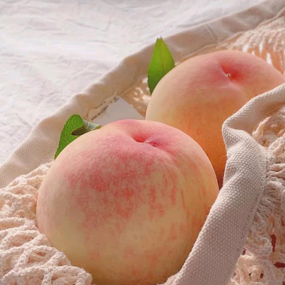 桃儿酱🍑