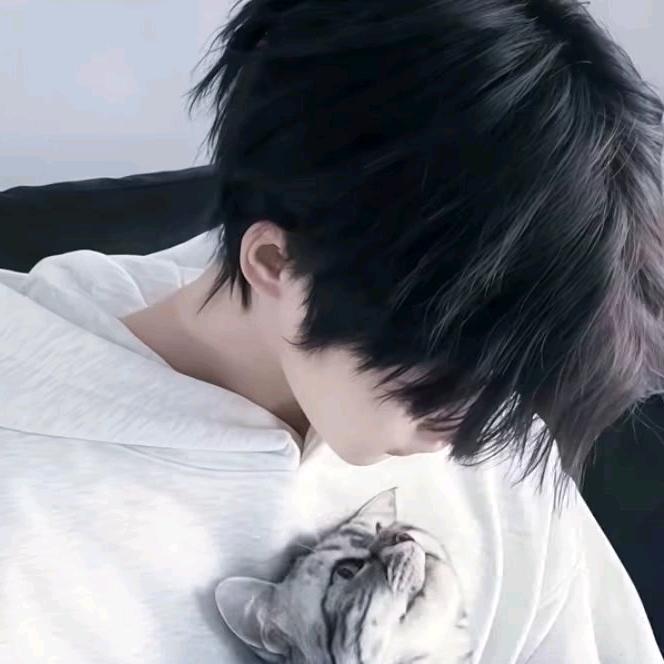 迷雾（寻恋版）🍇⁷⁹