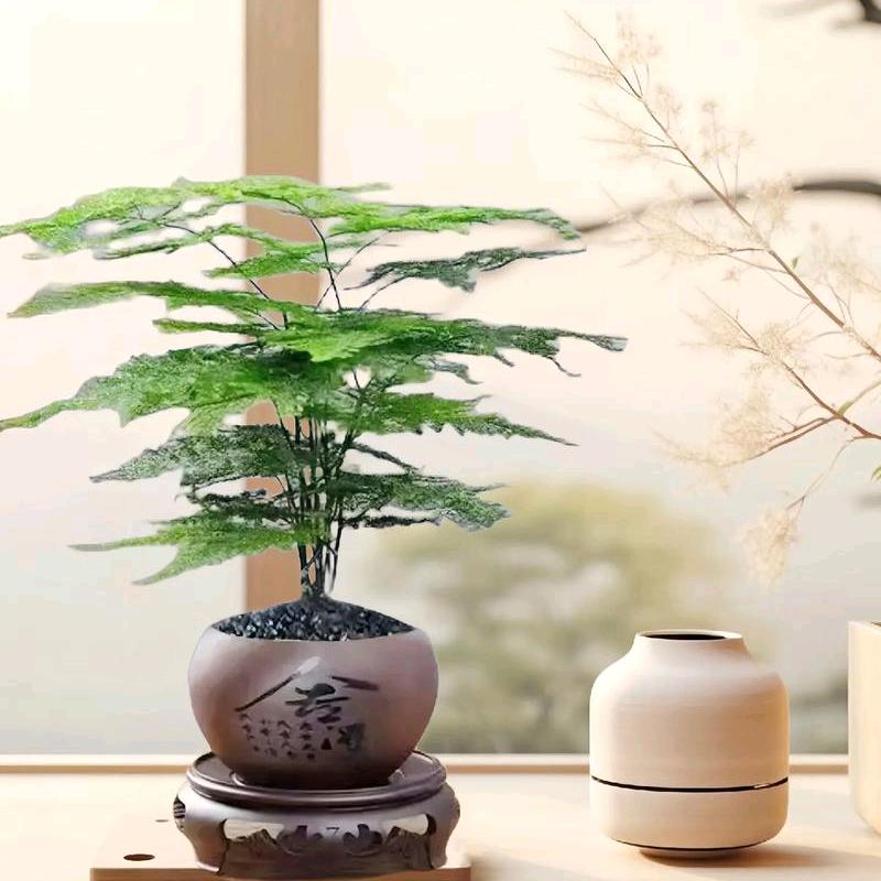 一岁学说话，一生学闭嘴