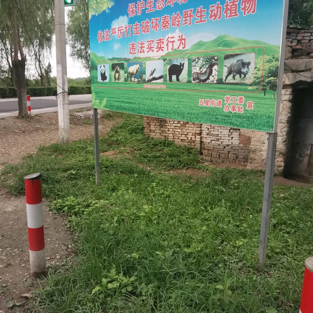 美好的未来