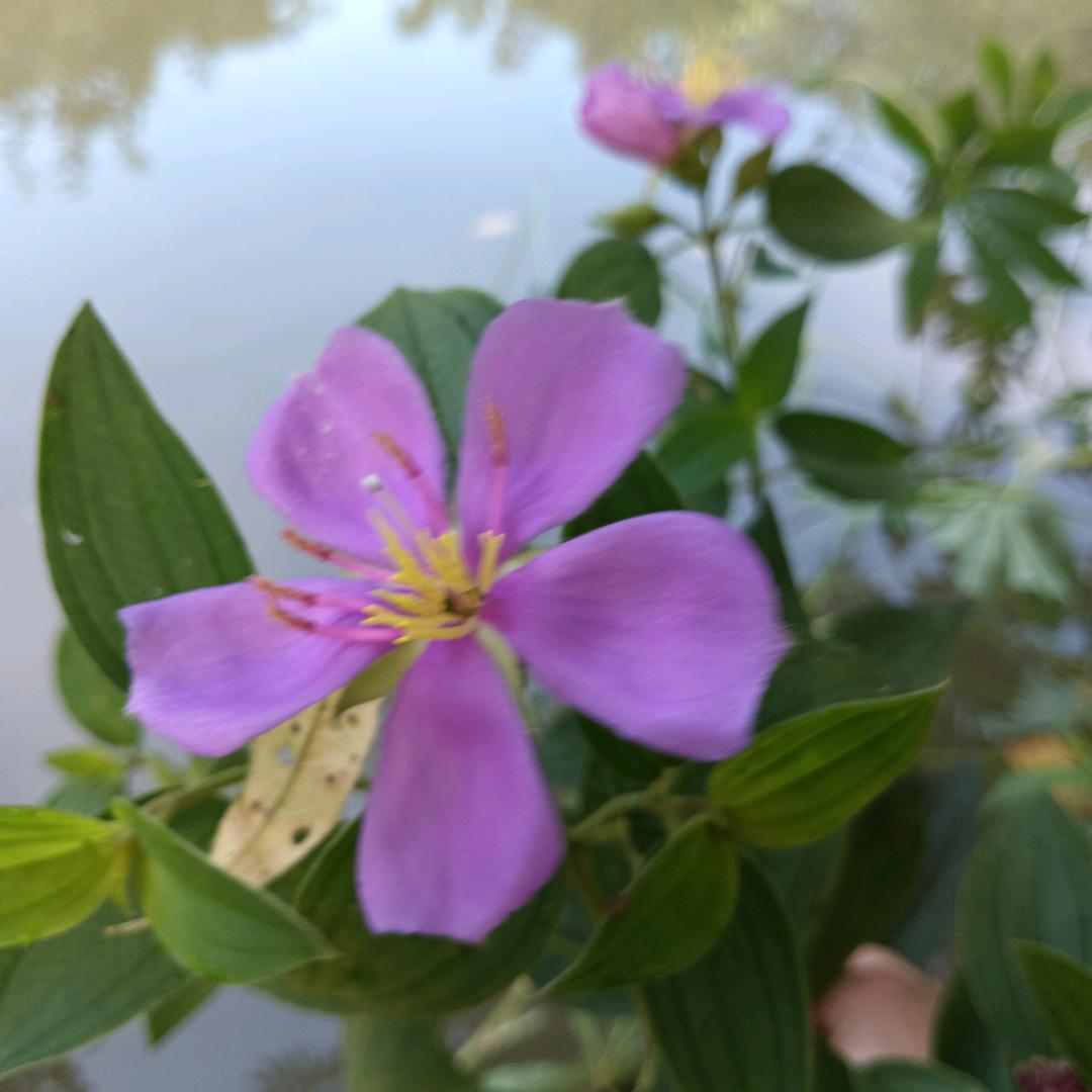 ✺小玉✺