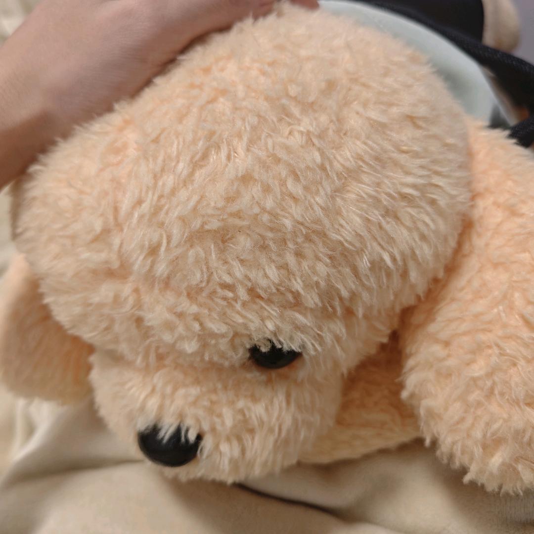 。。。。。。。。。