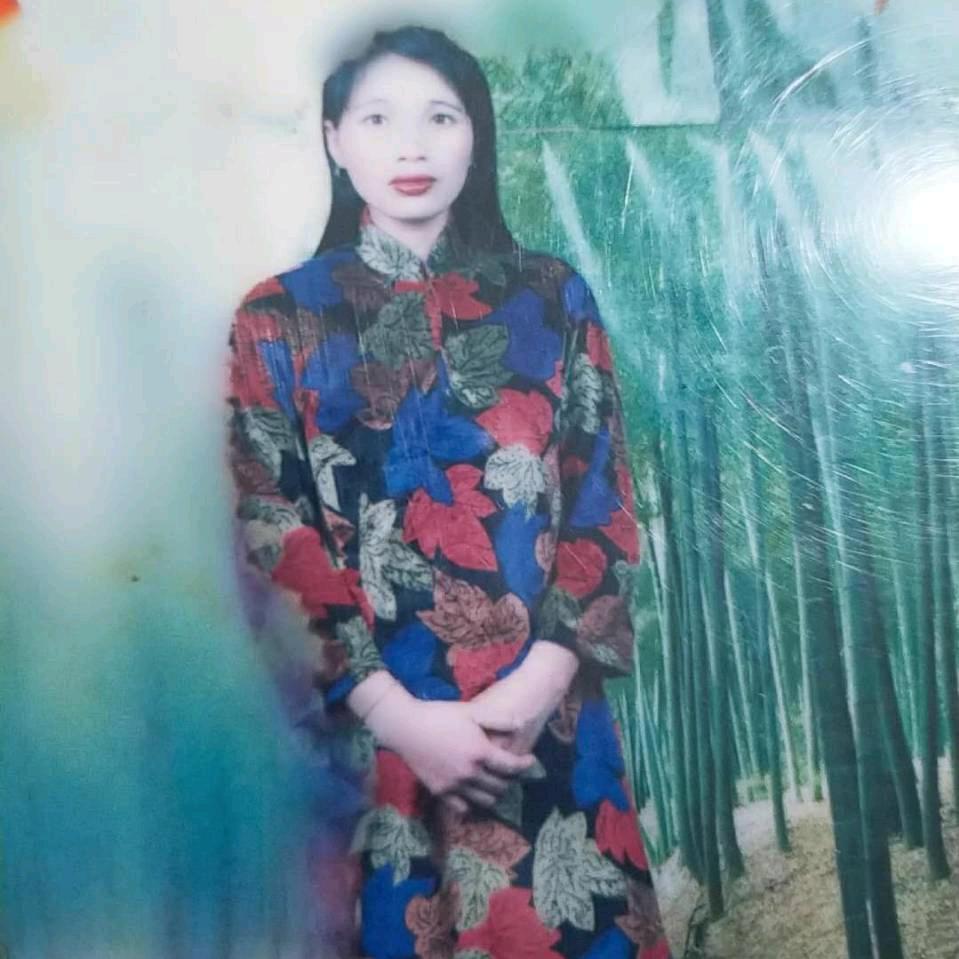 春夏秋冬甘玉兰