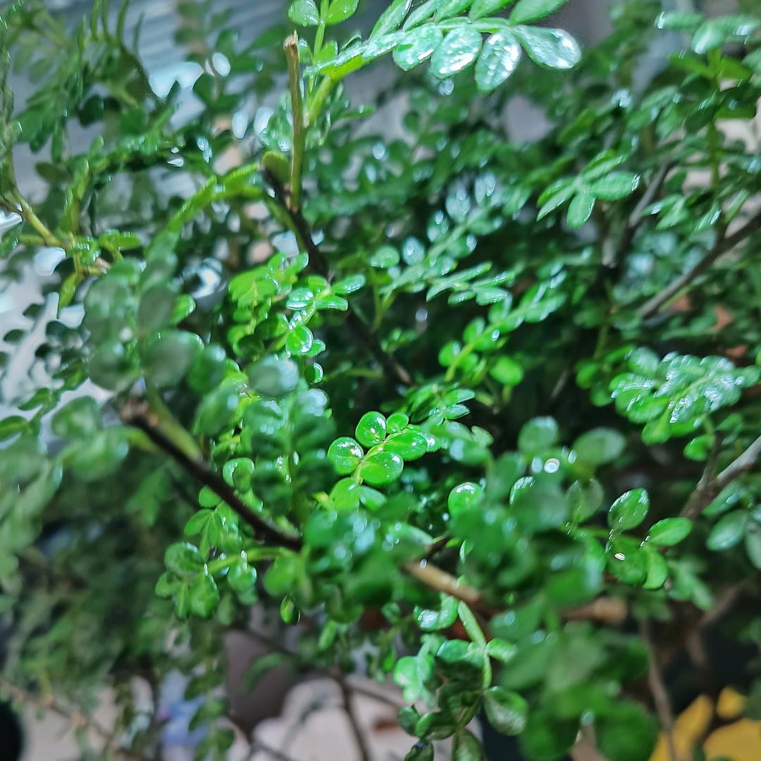 @通许平安二手车。