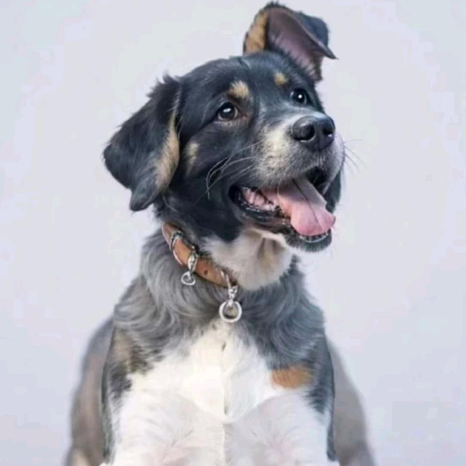 行者W的无疆乐途