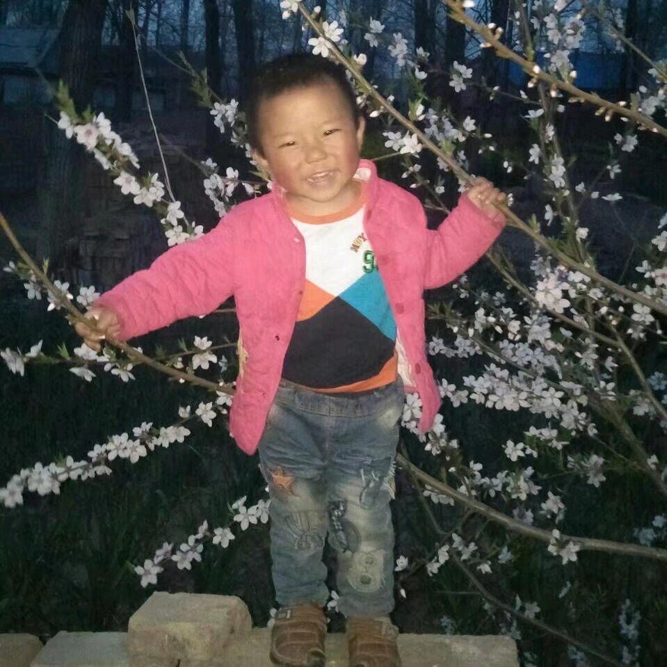 撑堤断桥铝门窗，系统窗90.110系列