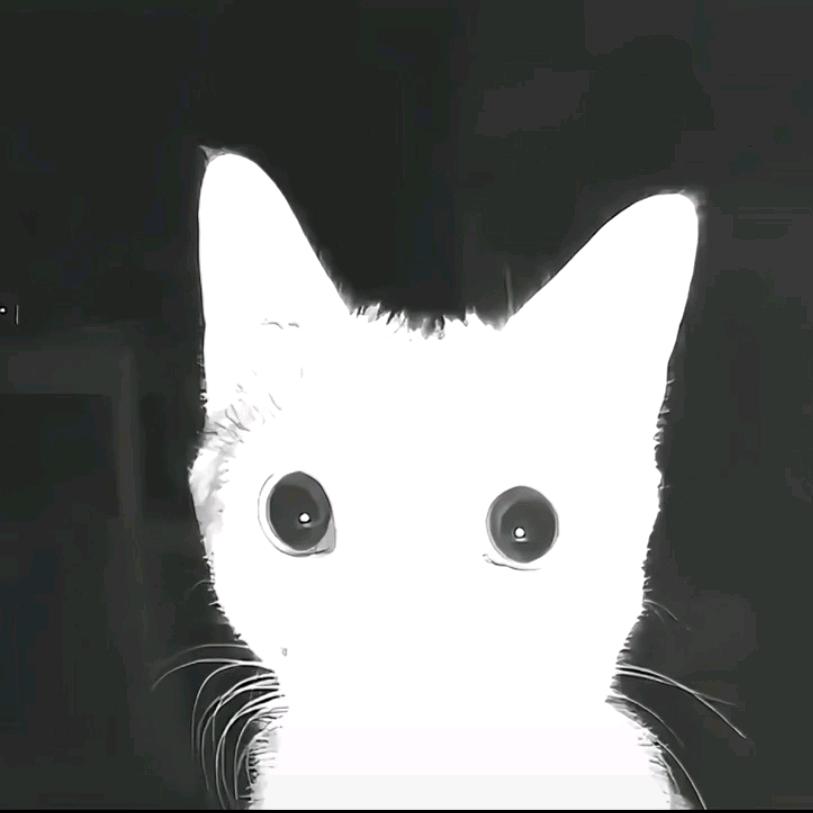૮₍ɵ̷﹏ɵ̷̥̥᷅₎ა