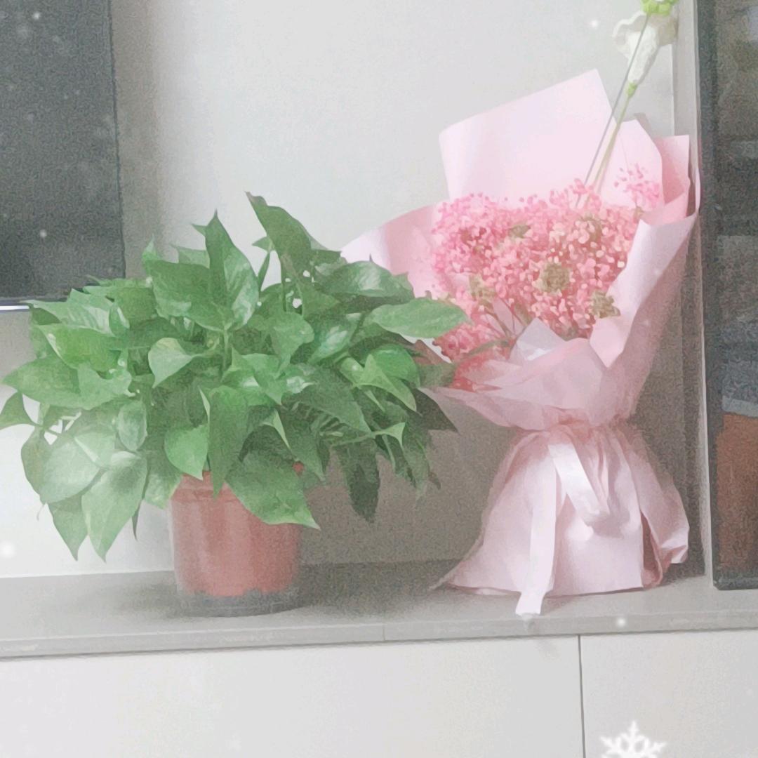 一生平安🐭