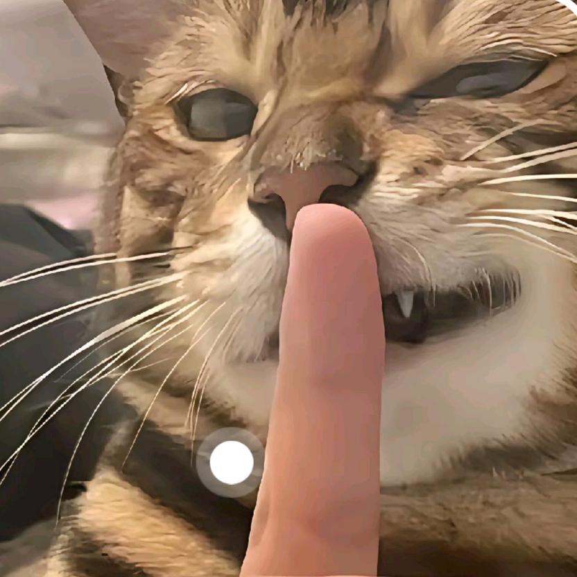 买个冰激凌