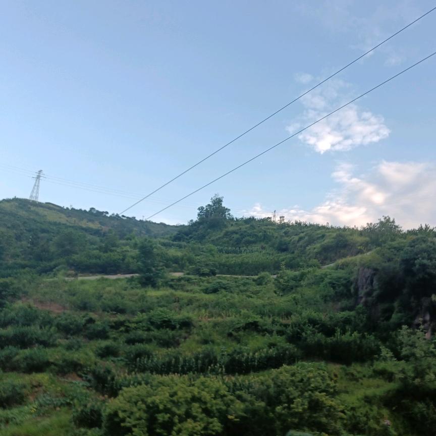 爱财爱子，风生水起。