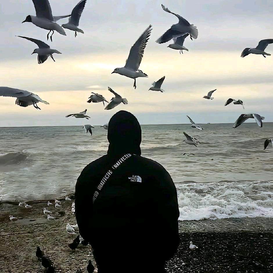 马桶上面吃独食