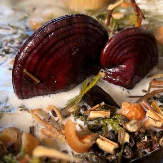 广州莱纳生物科技有限公司