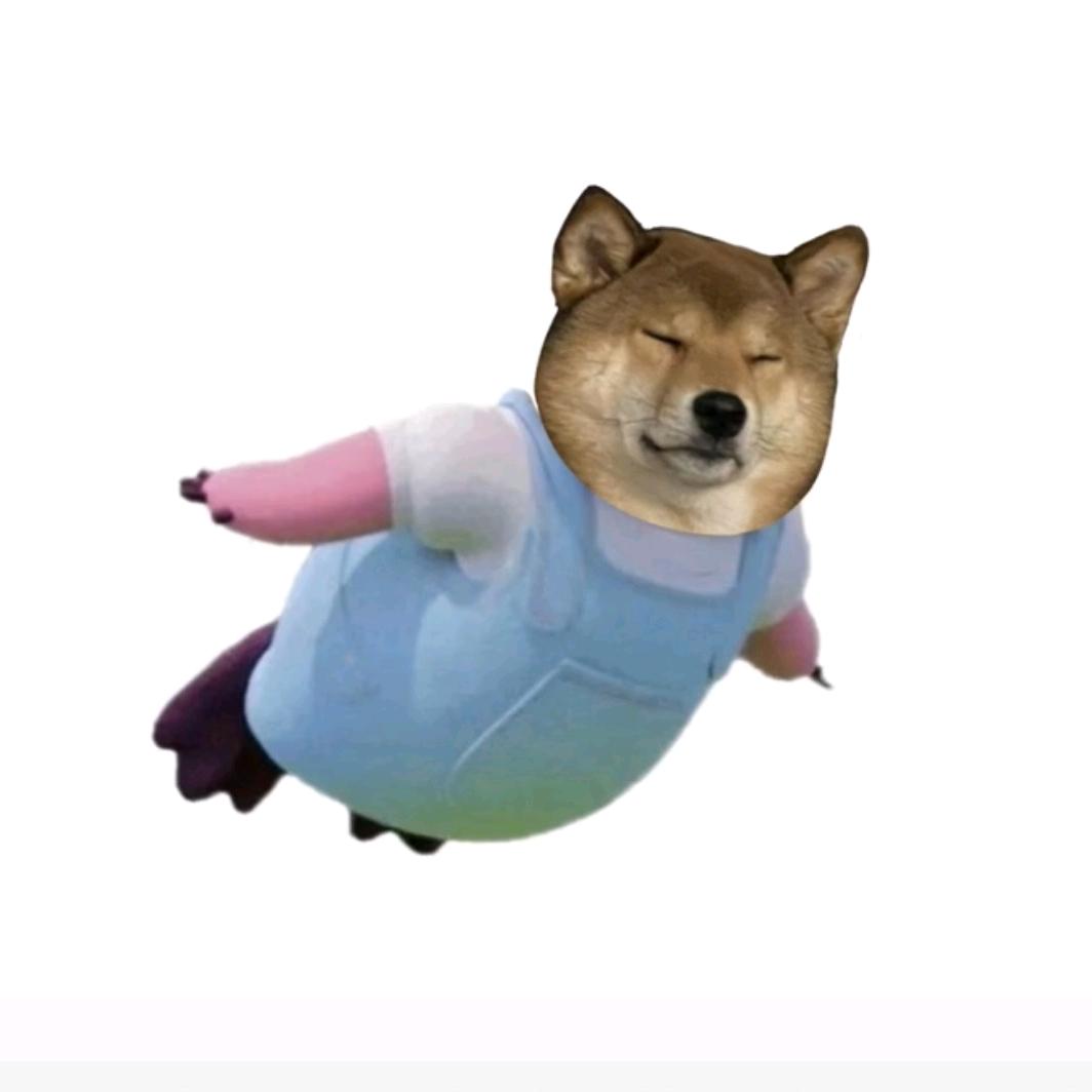 咚咚想周周了