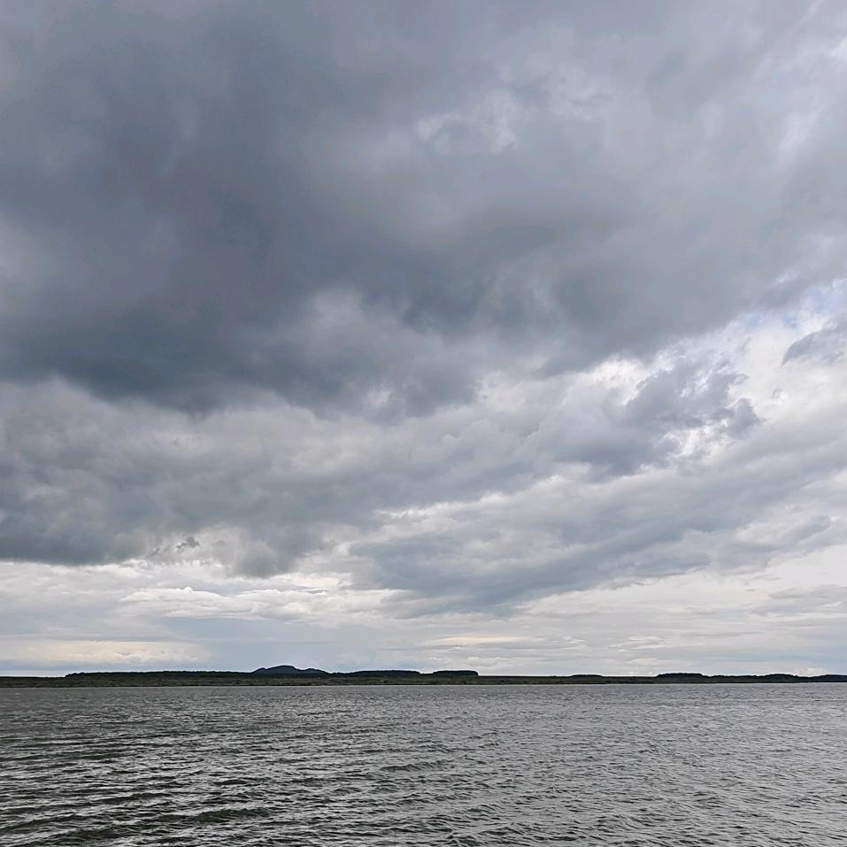 ━┳━　━┳━