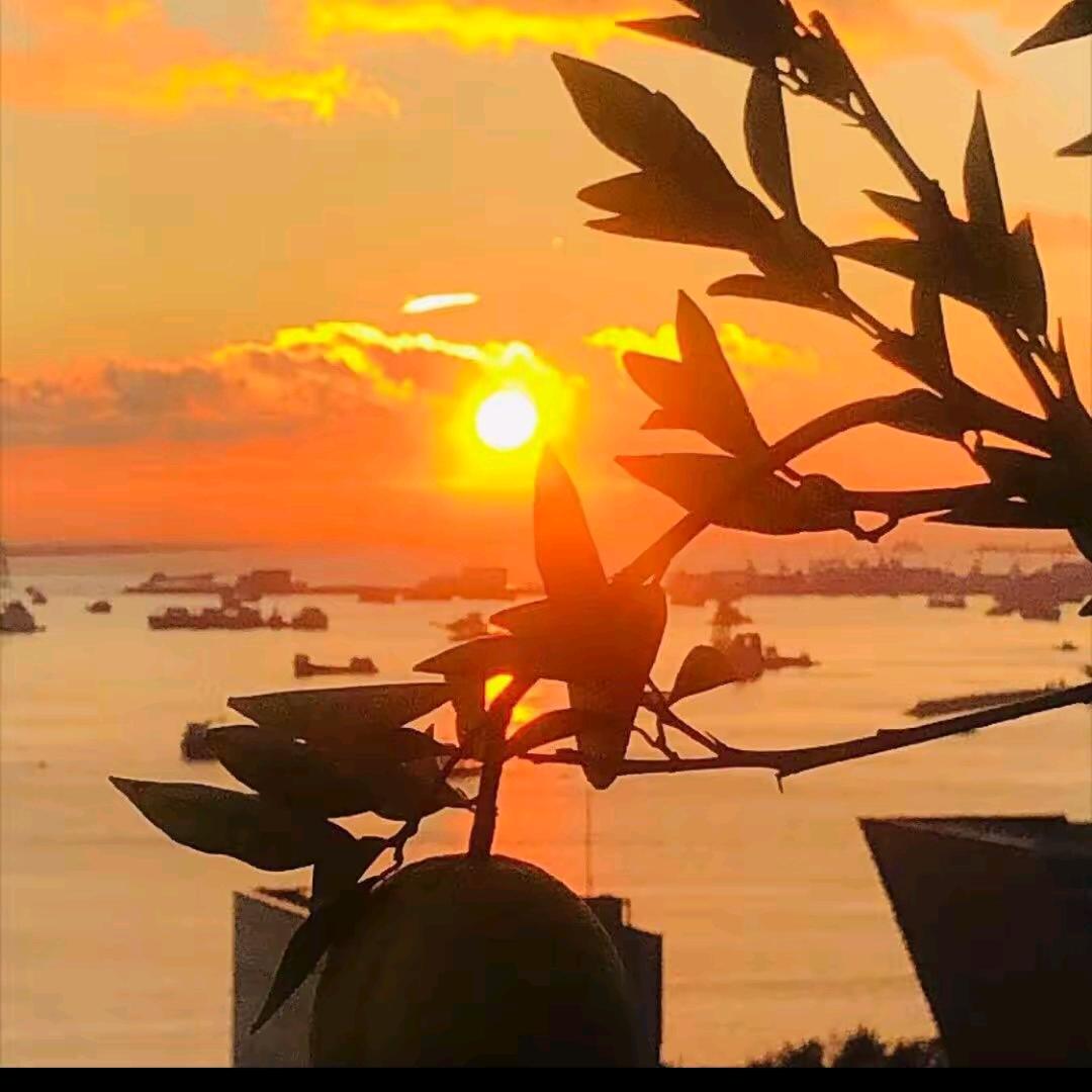 ℋএ᭄暖杨₅₂₀照周💞࿐