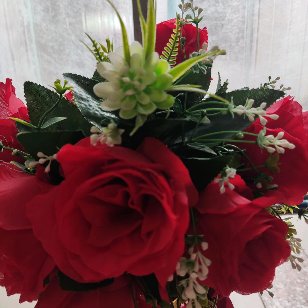 宁静的风🌹🌹🌹（没心没肺就是好）
