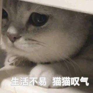 帕瓦（三角洲行动）