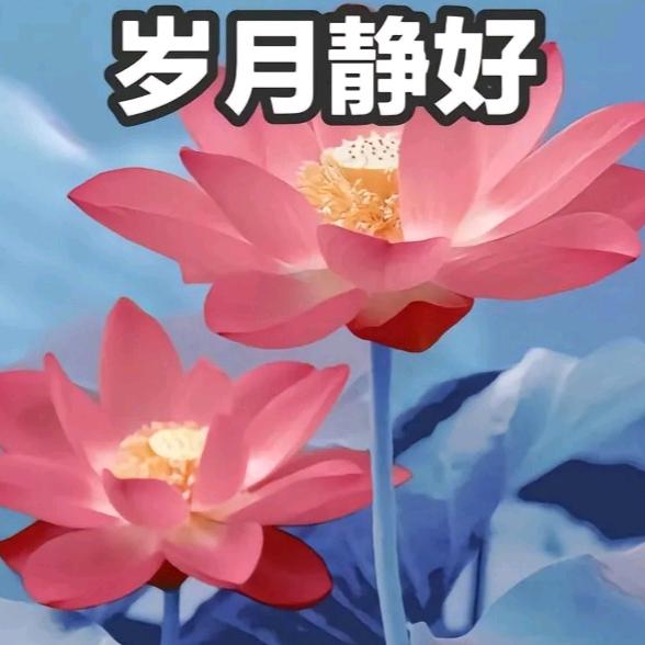 星宝云云头像