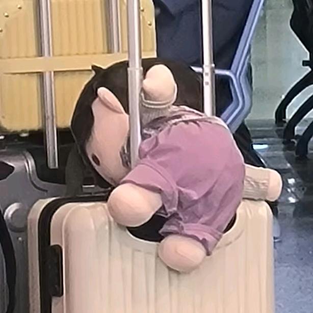 洛洛